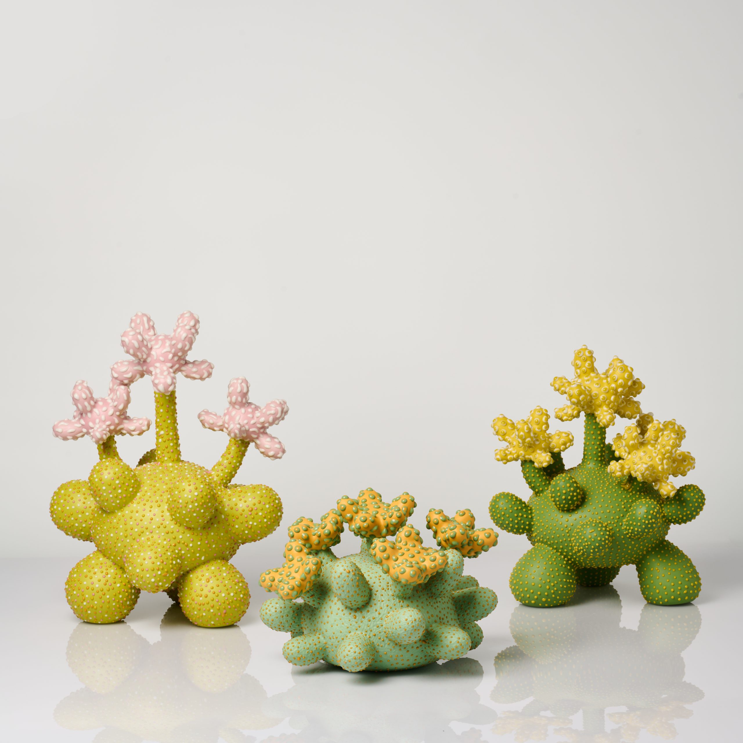 Bloomtopia series Group_1